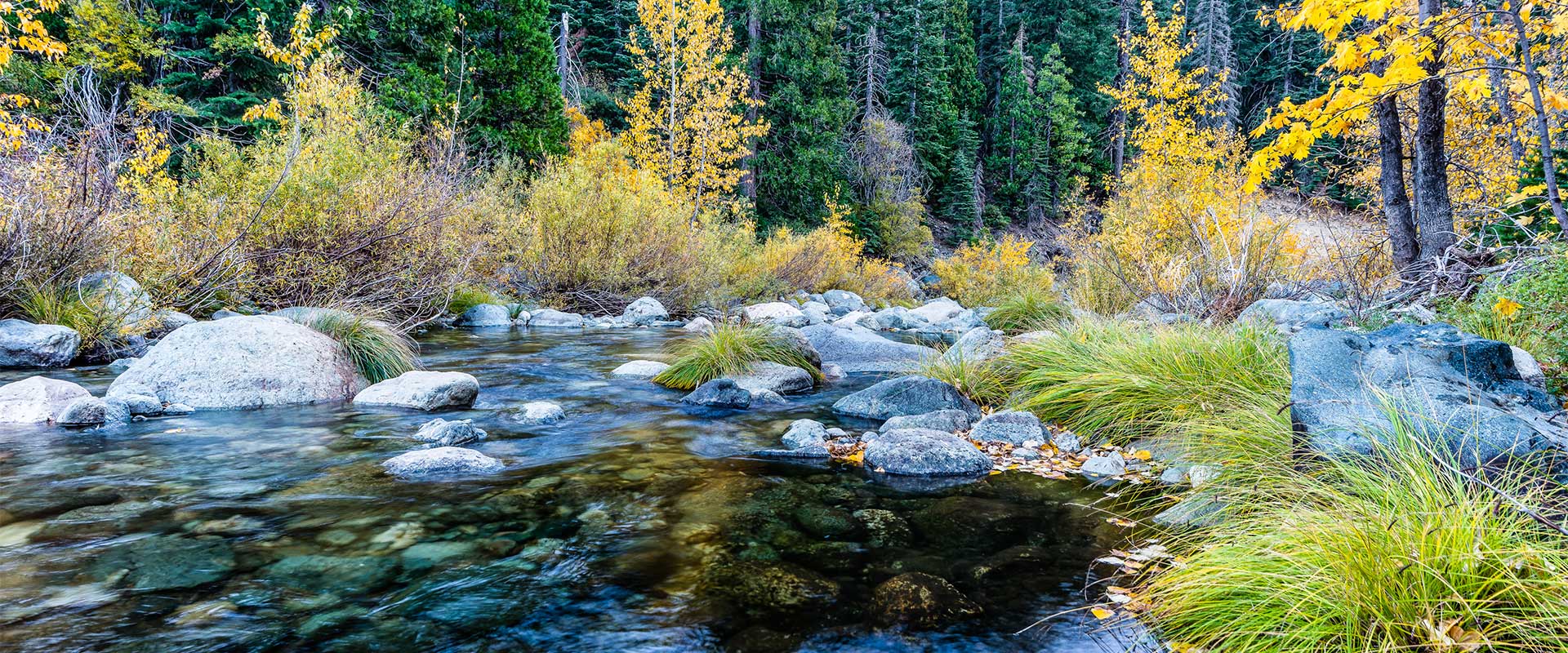 Jamie Barber – Nevada County Real Estate
